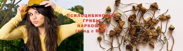 трава Волосово