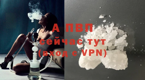 молекула духа Волоколамск
