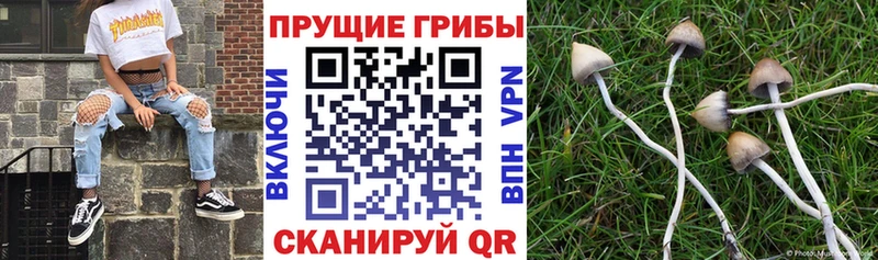 где найти наркотики  Остров  Галлюциногенные грибы MAGIC MUSHROOMS 